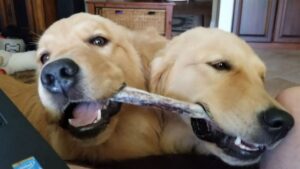 Impossible de ne pas partager entre sœurs!