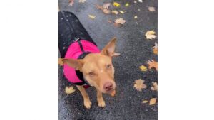 Il faut une première à tout!