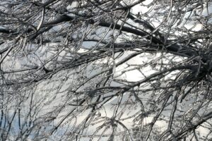 La pluie verglaçante cause des pannes d&rsquo;électricité dans la région