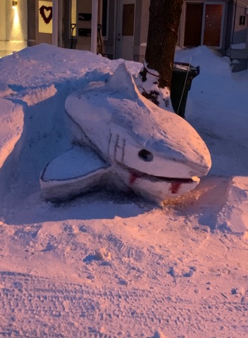 Un beau côté de la neige