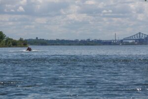 La Vigile verte demande une reconnaissance de la « personnalité juridique » du fleuve