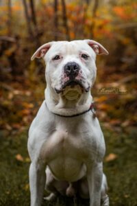 Rocky, la vedette de la semaine