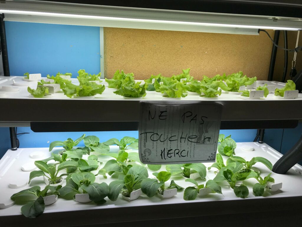 John-Adam Memorial à Delson : un jardin hydroponique à leur école