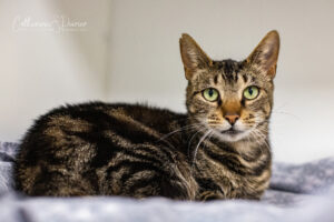 Myrtille, la vedette de la semaine