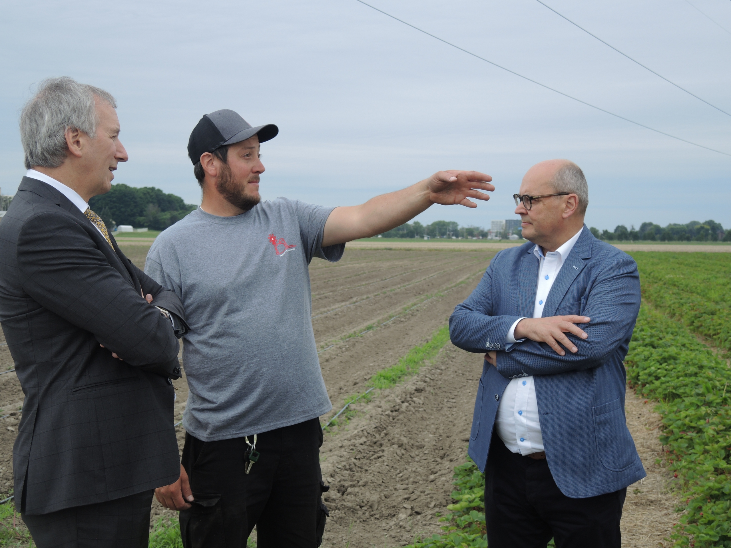 VIDÉO – Un plan pour mieux protéger les pollinisateurs en milieu agricole