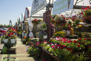 Échos du conseil de La Prairie : Un HUB agroalimentaire au Marché des jardiniers