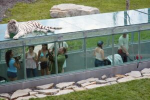 2,4 M $ pour bonifier l’offre touristique en Montérégie