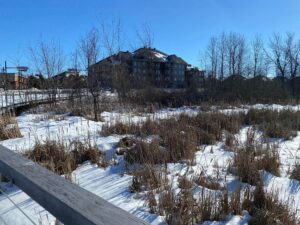 VIDÉO – Une soixantaine d’arbres abattus au parc de la nature Strasbourg