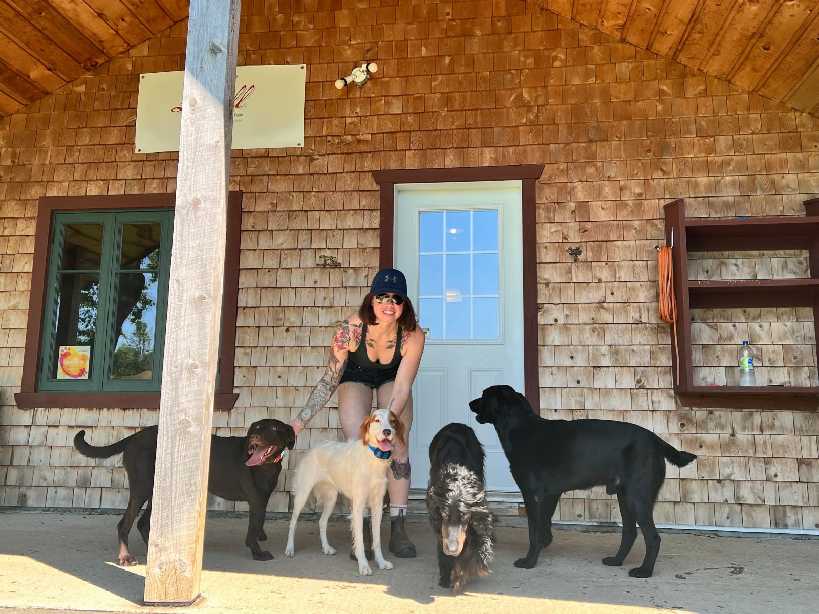 Fin du télétravail : des chiens vivent de l’anxiété de séparation