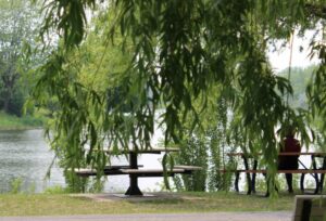 La Prairie et Candiac luttent contre les changements climatiques