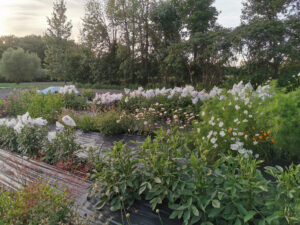 Une ferme où autocueillir ses fleurs en Montérégie