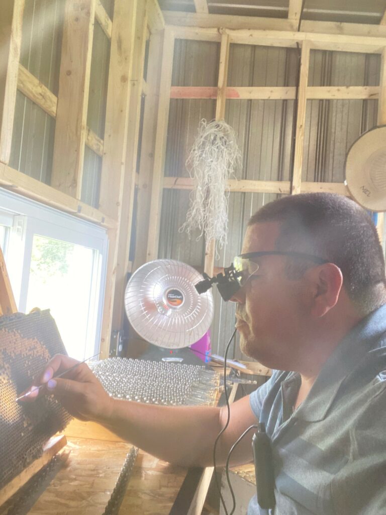 Hécatombe chez les abeilles en ce début de saison