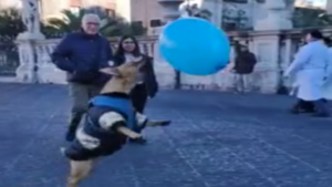 De quoi s&rsquo;amuser pendant des heures!