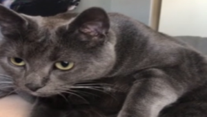 J&rsquo;aime mieux me recoucher que d&rsquo;endurer ça…