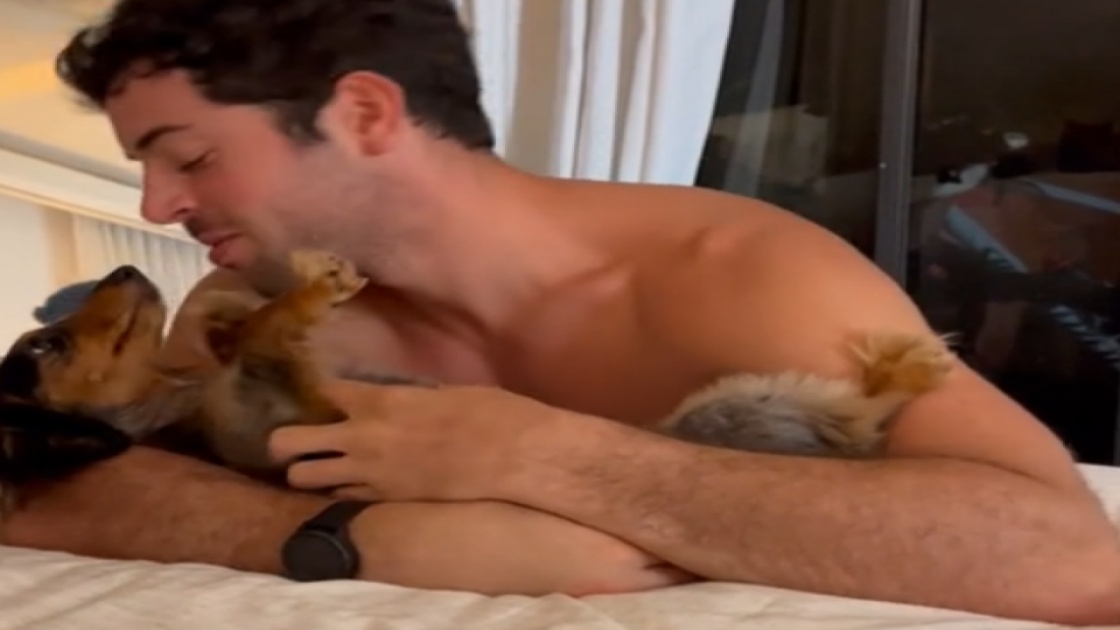 Ce chien aime bien les câlins!