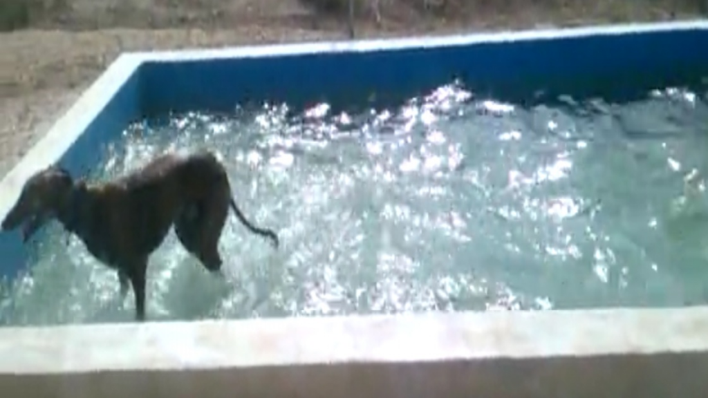 Il fait chaud, il faut en profiter!