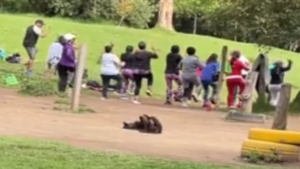 Un chien fan de Zumba