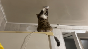 Quand tu n’es pas trop sûr de ton nouvel électricien…