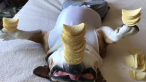 C&rsquo;est ce qu&rsquo;on appelle dormir dur!