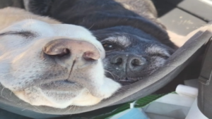 Moins fatiguant qu&rsquo;un « on arrive bientôt? »