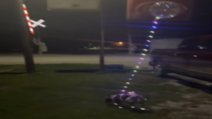 La meilleure manière de trouver son chien