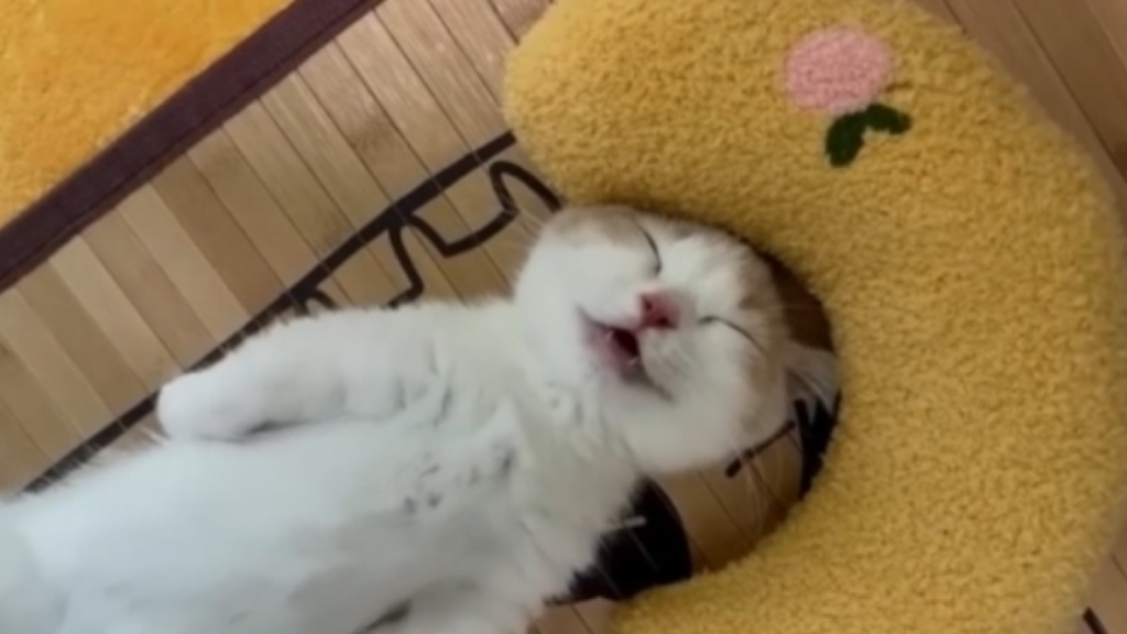 Pour vous donner le sourire, si vous en avez besoin!