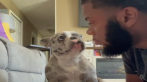 Quand ton chien veut avoir toute l&rsquo;attention!