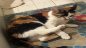 Quand tu t&rsquo;énerves toi-même