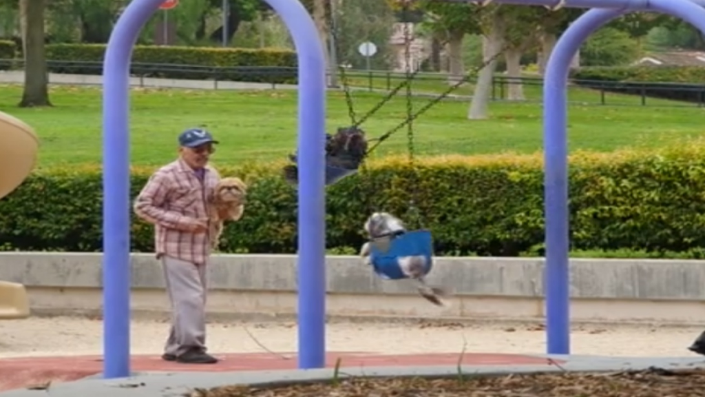 Tout le monde peut se balancer!