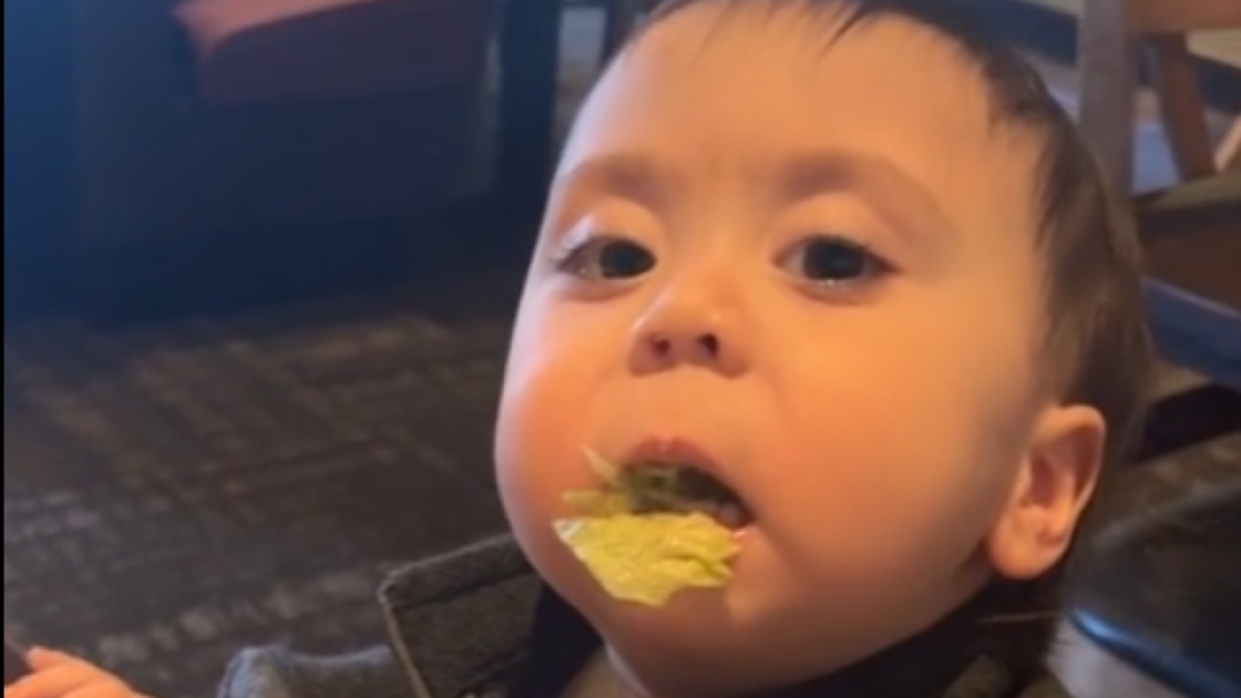 Quand bébé n&rsquo;aime pas la laitue