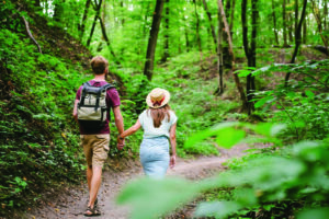 Célébrons les innombrables bienfaits de nos forêts!
