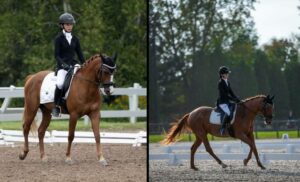 Jeux équestres du Québec : deux sœurs de Candiac s’illustrent