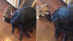 C’est parce que… ce n’est pas un jeu!