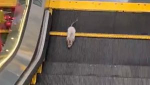 Changez de côté, vous vous êtes trompé!