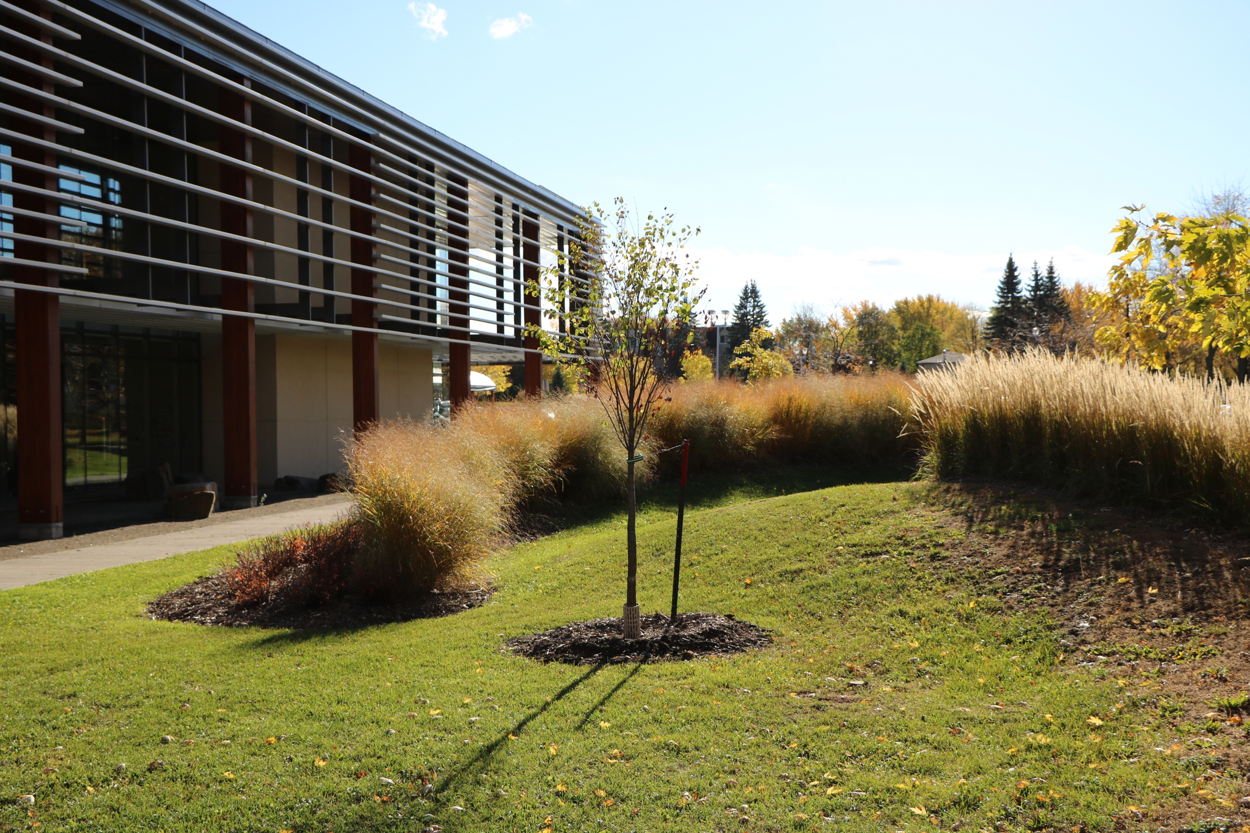 Collecte de sang des scouts à Candiac
