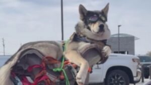 Une ride très confortable