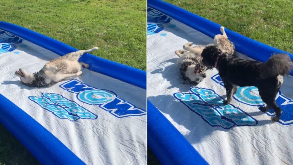 Dieu merci pour les jeux d’eau!