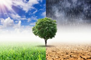 Candiac adopte un plan d’adaptation aux changements climatiques