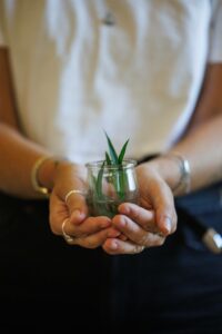 Centre de désintoxication à Saint-Philippe : prendre soin de soi… et d’une plante