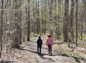 La forêt de la région sous pression