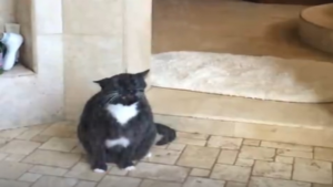 Une douche vraiment désaltérante