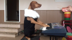 En concert prochainement dans un stade près de chez vous!