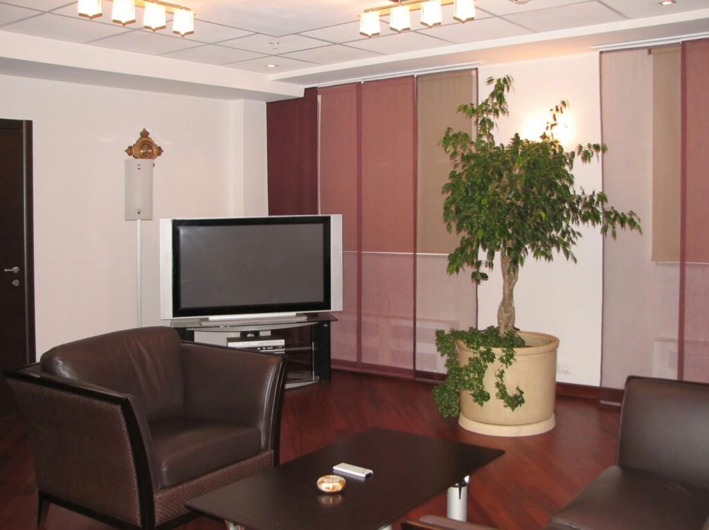 Pourquoi opter pour un rideau japonais