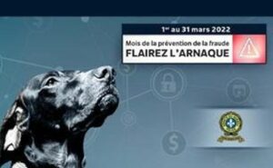 Aux aguets face à la fraude