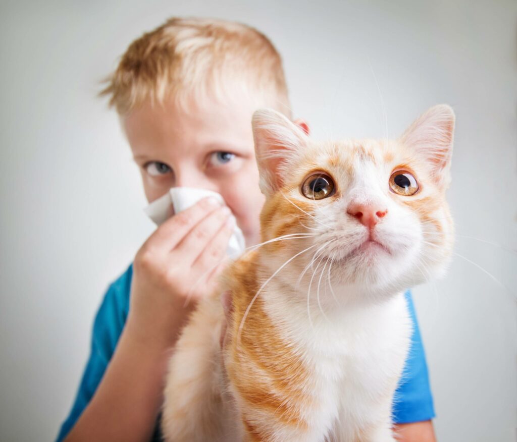 CHRONIQUE – Comment vivre avec un animal quand on est allergique ?