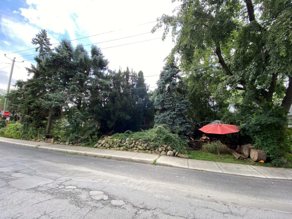 PHOTOS et VIDÉO – Un boisé sur boulevard Quinn