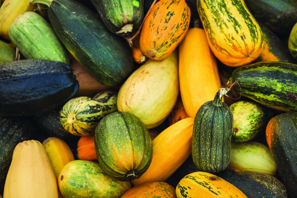 Le glanage, une activité à découvrir!