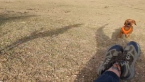 J&rsquo;en connais qui seront fatigués à la fin de la journée!