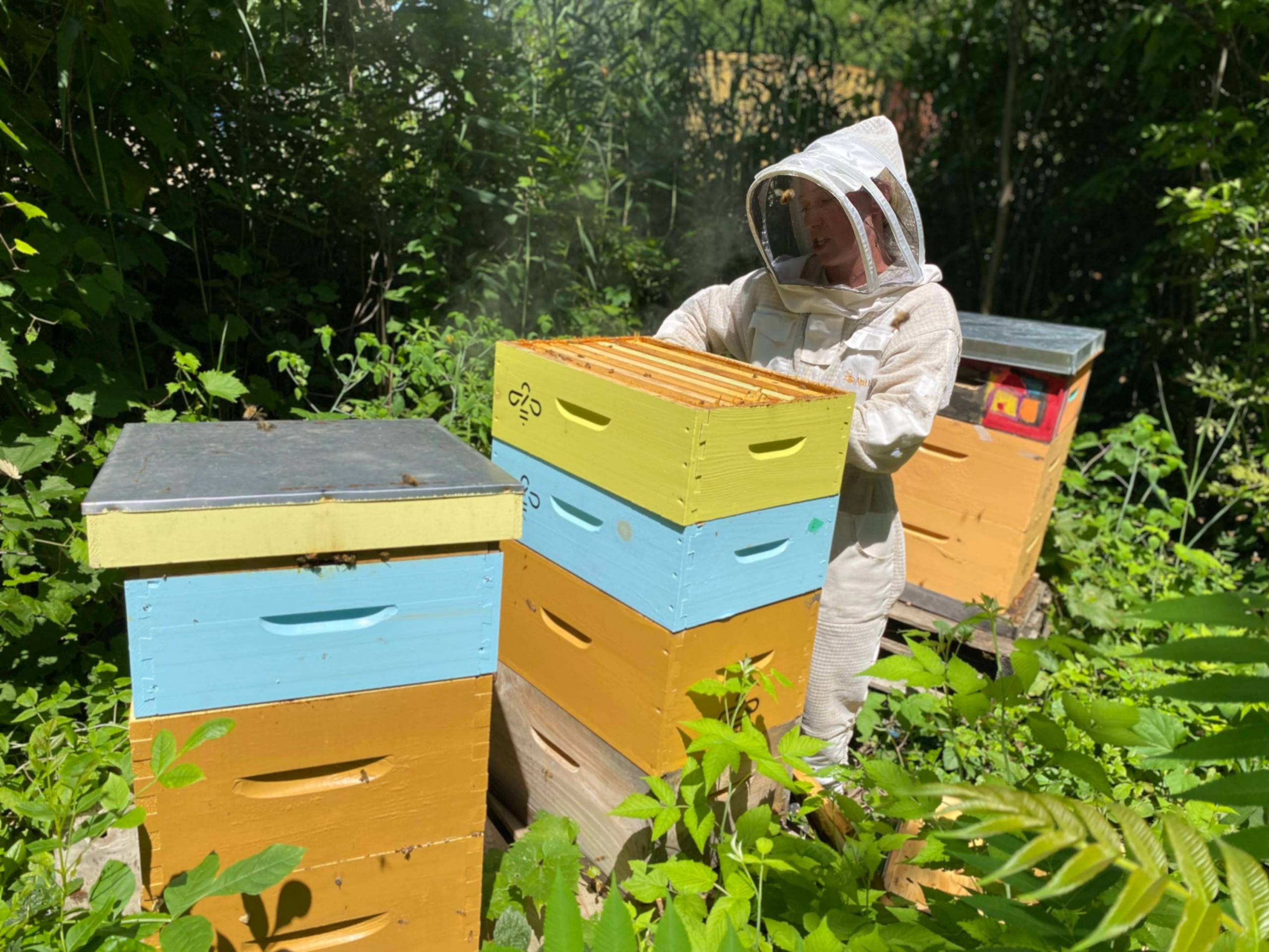 VIDÉO – Créer un environnement propice pour l’humain et pour l’abeille