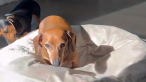 Même s&rsquo;il fait froid, au moins, il y a le soleil!